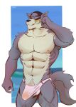 abs absurd_res anthro bulge canid canine canis clothed clothing fur hi_res male male/male mammal mrlynxart muscular muscular_anthro pecs solo tail topless topless_male wolf wolf_(we_baby_bears)