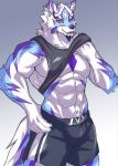 abs anthro blue_eyes bottomwear bulge canid canine clothed clothing clothing_lift fur hi_res lifewonders live_a_hero male mammal mofengwolf multicolored_body multicolored_fur muscular muscular_anthro navel pecs sadayoshi shirt shirt_lift shorts solo topwear