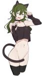  1girl :d absurdres alternate_costume animal_ear_fluff animal_ears arm_warmers bare_shoulders bell black_choker black_ribbon black_thighhighs bottomless breasts cat_ears cat_tail choker cleavage collarbone commentary_request cowboy_shot crop_top cropped_legs fingernails green_hair groin hair_between_eyes hair_ribbon hand_up highres long_fingernails long_hair long_sleeves looking_at_viewer medium_breasts midriff navel neck_bell nipples no_bra no_panties open_mouth paw_pose purple_eyes ribbon sattinittas simple_background smile solo sousou_no_frieren stomach tail tail_censor thighhighs ubel_(sousou_no_frieren) white_background 