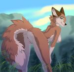 2024 aleu_(balto) anthro anthrofied anus balto_(series) bent_over black_nose blue_eyes breasts brown_body brown_fur butt canid canine canis digital_media_(artwork) female fur genitals hybrid ketty looking_at_viewer looking_back looking_back_at_viewer mammal multicolored_body multicolored_fur nature nipples nude outdoor_nudity outside presenting presenting_hindquarters presenting_pussy pussy smile solo spread_legs spreading standing tail tail_aside thigh_gap universal_studios wolf wolfdog