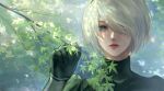  1girl 2b_(nier:automata) black_gloves blue_eyes branch day gloves hair_over_one_eye highres holding holding_branch juliet_sleeves lips long_sleeves looking_at_viewer michiko_(ui29) mole mole_under_mouth nier:automata nier_(series) nose outdoors puffy_sleeves short_hair solo upper_body white_hair 