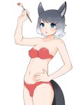  1girl absurdres animal_ear_fluff animal_ears blue_eyes blush bodypaint breasts commentary_request completely_nude cowboy_shot empty_eyes female_pubic_hair grey_hair hand_on_own_hip highres holding holding_paintbrush horse_ears horse_girl horse_tail illu_(illu_stratos) kemono_friends looking_at_viewer medium_bangs medium_breasts nipples nude open_mouth paintbrush painted_clothes pubic_hair short_hair simple_background solo tail tarpan_(kemono_friends) white_background 