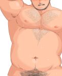  1boy archer_(archery045) arm_up bara beard_stubble belly facial_hair head_out_of_frame highres large_pectorals light_smile male_focus male_pubic_hair mature_male muscular muscular_male navel navel_hair nipples nude original out-of-frame_censoring pectorals pencil_mustache plump pubic_hair solo sparse_chest_hair sparse_navel_hair stomach stubble sweat very_sweaty 