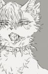  collar grey_background greyscale highres monochrome no_humans notched_ear open_mouth scourge_(warrior_cats) sharp_teeth solo spiked_collar spikes teeth warrior_cats wxlfpatch 