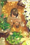  1girl bandaid closed_eyes closed_mouth dappled_sunlight flower flower_pot from_above hair_ornament hairclip hands_on_own_knees highres japanese_rice_fish kayari_buta original sandals shirt squatting sunlight twin-mix watering_can white_shirt 