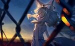  1girl absurdres ahoge animal_ear_fluff animal_ears blonde_hair blue_hair blunt_bangs blurry blurry_background blurry_foreground cat_ears chain-link_fence closed_eyes closed_mouth commentary depth_of_field dress english_commentary facing_viewer fence floating from_behind highres indie_virtual_youtuber lazyfox lifebuoy_hair_ornament long_hair low_twintails multicolored_hair outdoors sameko_saba sleeveless sleeveless_dress smile solo streaked_hair sundress sunset twintails very_long_hair virtual_youtuber white_dress white_hair 