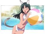  1girl ;d animal_ear_fluff animal_ears ball bare_arms bare_shoulders beachball bikini blush_stickers brown_eyes cat_ears cat_girl cat_tail collarbone commentary_request covered_collarbone fang green_hair hands_up highres holding holding_ball long_hair navel one_eye_closed open_mouth original pool smile solo swimsuit tail tonbi water white_bikini 