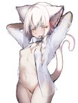  absurd_res anthro biped blush bottomless braided_hair breasts chest_tuft clothed clothing domestic_cat felid feline felis female fluffy fluffy_ears fur hair hands_behind_head hi_res inner_ear_fluff kemono looking_at_viewer mammal midriff monotone_body monotone_fur monotone_hair navel no_underwear open_clothing open_shirt open_topwear pose shirt simple_background small_breasts solo standing tabhead topwear translucent translucent_clothing translucent_shirt translucent_topwear tuft white_background white_body white_fur white_hair wide_hips yellow_eyes 