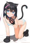  :s all_fours animal_ears animal_hands apollo_(hu_maple) bell black_hair black_socks blue_eyes blue_hair blue_ribbon blush breasts cat_ears cat_tail cat_teaser collar collarbone colored_inner_hair commentary_request dot_nose gloves hair_ribbon highres jingle_bell kneehighs medium_hair multicolored_hair on_bed original panties paw_gloves paw_pose ribbon shy simple_background small_breasts socks solo tail tail_ornament tail_ribbon thigh_gap underwear white_background white_panties white_ribbon 