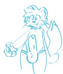  anthro balls big_penis bottomless bottomless_anthro bottomless_male choclattemilk clothed clothing collar erection front_view fur genitals hi_res humanoid_genitalia humanoid_penis male monochrome outstretched_arm pawpads paws penis simple_background sketch solo standing sweater tail topwear 