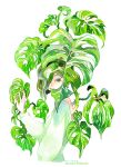  1girl androgynous artist_name asymmetrical_hair backless_dress backless_outfit dress expressionless green_dress green_eyes green_hair green_theme growing_out_of_body hair_over_one_eye hand_up long_sleeves looking_at_viewer maruti_bitamin monstera_deliciosa original painting_(medium) plant short_hair sprout surreal traditional_media upper_body watercolor_(medium) white_background 