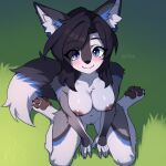  anthro blush breasts canid canine canis detra female genitals grass hi_res high-angle_view kneeling looking_at_viewer looking_up mammal nude pawpads paws plant pussy smile solo wolf 