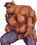  2020 anthro balls brown_body brown_fur clothing episode0006 flaccid fur genitals kemono male mammal musclegut overweight overweight_anthro overweight_male penis simple_background solo suid suina sus_(pig) undressing white_background wild_boar 