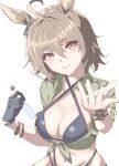  1girl absurdres agnes_tachyon_(lunatic_lab)_(umamusume) agnes_tachyon_(umamusume) animal_ears bikini black_bikini blush bracelet breasts brown_hair cleavage closed_mouth commentary_request corked_bottle criss-cross_halter ear_ornament flask green_jacket hair_between_eyes halterneck highres holding holding_test_tube horse_ears horse_girl horse_tail iko_(saikoro_k0702) jacket jewelry large_breasts long_hair long_sleeves looking_at_viewer navel reaching reaching_towards_viewer red_eyes short_hair short_ponytail simple_background small_breasts smile solo stomach swimsuit tail test_tube tied_jacket umamusume upper_body white_background 