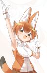  1girl :d animal_ears armpits blush breasts brown_eyes brown_hair brown_shirt clenched_hand commentary_request cowboy_shot dark_skin dhole_(kemono_friends) dog_ears dog_girl dog_tail gloves highres kemono_friends large_breasts lets0020 looking_at_viewer medium_bangs multicolored_hair open_mouth shirt short_hair sleeveless smile solo tail two-tone_hair two-tone_shirt waving white_background white_gloves white_hair 