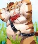  anthro belly blush bodily_fluids clothing domestic_cat dragon_quest eye_patch eyewear felid feline felis grass kemono male mammal moobs navel nikiciy nude one_eye_obstructed outside overweight overweight_anthro overweight_male plant robe scar scarf solo square_enix sweat tickling tiger_stripes tongue video_games 