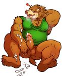  &lt;3 2020 anthro balls belly blush bodily_fluids brown_body brown_fur clothing cum cum_on_arm cum_on_ground cum_on_penis dragon_quest erection fur genital_fluids genitals hi_res iriai_inasa kemono male mammal orc_(dragon_quest) overweight overweight_anthro overweight_male penis shirt simple_background sitting solo square_enix suid suina sus_(pig) sweat tongue tongue_out topwear video_games white_background wild_boar 