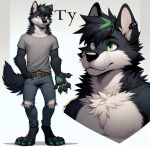  canid canine canis male mammal pupfever solo ty wolf 