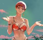  1girl bikini bracelet breasts brown_hair cloud collarbone earrings hands jewelry lips nao3art navel palm_tree pink_cloud short_hair shrugging sky solo swimsuit the_king_of_fighters the_king_of_fighters_all-stars tree vice 