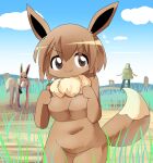  1boy 1girl animal_ears blonde_hair blue_sky breasts brown_eyes brown_hair cardboard_box_gundam clenched_hands closed_mouth cloud commentary_request cowboy_shot dark_skin day eevee furrification furry grass lets0020 looking_at_viewer medium_bangs medium_breasts navel outdoors pokemon short_hair sky smile v-shaped_eyebrows 