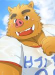  2008 anthro blush bodily_fluids brown_body brown_fur clothing fur humanoid_hands kemono male mammal outside overweight overweight_anthro overweight_male pink_nose shirt solo suid suina sus_(pig) sweat teeth topwear tusks unknown_artist wild_boar 