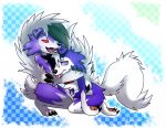  ambiguous_gender anthro black_nose blue_body blue_eyes blue_fur claws collar duo fangs fingers fur gladioh hair lycanroc midnight_lycanroc nintendo open_mouth pok&eacute;mon pok&eacute;mon_(species) red_eyes sharp_teeth shiny_pok&eacute;mon spikes teeth toe_claws tongue video_games white_body white_fur white_hair 