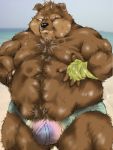  2008 3:4 anthro bbn beach belly black_nose brown_body brown_fur bulge canid canine canis clothing domestic_dog fur humanoid_hands kemono male mammal outside overweight overweight_anthro overweight_male scar seaside solo underwear 
