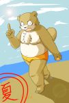  2008 anthro beach belly blush brown_body brown_fur canid canine clothing eyes_closed fur japanese_text kemono male mammal moobs nipples outside overweight overweight_anthro overweight_male raccoon_dog seaside solo swimwear tanuki text unknown_artist 