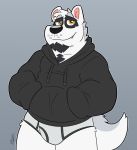  2020 anthro black_body black_fur black_nose canid canine canis clothing cute_fangs fur giant_panda grey_body grey_fur hoodie hybrid male mammal overweight overweight_anthro overweight_male solo thepandobo topwear underwear ursid white_body white_fur wolf 