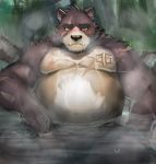  2020 absurd_res anthro bathing belly blush hi_res male mammal neumokun overweight overweight_anthro overweight_male scar sitting solo stakeho_lder ursid water wet 