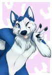  anthro black_pawpads blue_body blue_eyes blue_fur canid canine canis chest_tuft claws disney domestic_dog fur gesture husky inner_ear_fluff lilo_and_stitch male mammal navel nordic_sled_dog one_eye_closed pawpads spitz stitch_(lilo_and_stitch) tongue tongue_out tuft v_sign white_body white_fur white_inner_ear wink yoko_darkpaw 