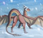  absurd_res animal_genitalia anus ass_up butt clitoris cloaca cute_face dragon female feral genitals hi_res horn mountain multicolored_body presenting presenting_hindquarters raised_tail rear_view scaile scalie smile snow solo solo_focus western_dragon wings zikeny 