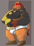  2020 anthro brown_body brown_fur bulge clothing fur hi_res hoodie humanoid_hands hyaenid male mammal overweight overweight_anthro overweight_male realiron_(artist) solo spotted_hyena topwear underwear 