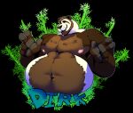 2024 anthro bamboo bamboo_stick bear beard belly_hair body_hair drik_the_panda_(character) english_text facial_hair giant_panda hair hi_res male mammal musclegut muscular navel nipples solo text wildside