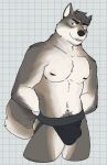 2024 anthro arm_tuft belly biped black_clothing black_eyebrows black_jockstrap black_nose black_underwear body_hair brown_body brown_eyes brown_fur brown_nipples bulge canid canine canis checkered checkered_background clothed clothing digital_drawing_(artwork) digital_media_(artwork) echo_(series) echo_project elbow_tuft eyebrows fur grey_hair hair hands_behind_back happy_trail hi_res jockstrap jockstrap_only kane_dunbar looking_at_viewer male male_anthro mammal multicolored_body muscular muscular_anthro muscular_male navel nipples open_mouth partially_clothed partially_clothed_male pattern_background portrait raised_eyebrow simple_background solo standing tan_body tan_fur the_smoke_room three-quarter_portrait topless tuft underwear underwear_only unsafescapewolf whiskers white_background white_body white_fur white_sclera wolf