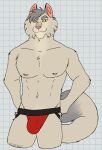 2024 abs anthro arm_tuft biped black_eyes checkered checkered_background cheek_tuft clothed clothing digital_drawing_(artwork) digital_media_(artwork) elbow_tuft facial_tuft felid feline fluffy fluffy_tail fur grey_body grey_fur grey_hair hair hands_on_hips hi_res jockstrap jockstrap_only lackadaisy looking_at_viewer male male_anthro mammal multicolored_body muscular muscular_anthro muscular_male navel nicodeme_savoy nipples partially_clothed partially_clothed_male pattern_background pecs pink_inner_ear pink_nipples pink_nose portrait red_clothing red_jockstrap red_underwear simple_background solo standing tail tan_body tan_fur three-quarter_portrait topless tuft underwear underwear_only unsafescapewolf whiskers white_background yellow_sclera