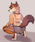  alibi-cami anthro brown_body brown_fur bulge canid canine canis clothing crouching fur hands_on_knees hoodie male mammal seductive_smile simple_background smile smirk solo topwear underwear 