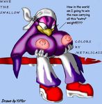  sonic_riders sonic_team tagme wave_the_swallow yiffer 