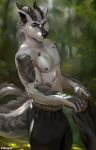  2020 anthro black_body black_scales blue_eyes bottomwear canid canine canis chunie clothed clothing detailed_background digital_media_(artwork) dragon forest fur hi_res holding_object hybrid looking_at_viewer male mammal nipples outside pants scales solo stading topless tree white_body white_fur wolf 