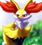  1girl animal_ear_fluff animal_ears animal_nose arms_behind_back artist_name black_fur blurry blurry_background body_fur braixen bush closed_mouth commentary cowboy_shot dandelion dated day english_commentary eryz flat_chest flower fox_ears fox_girl fox_tail furry gen_6_pokemon happy highres jpeg_artifacts leaning_forward looking_to_the_side outdoors pokemon pokemon_(creature) red_eyes sideways_mouth signature smile snout solo standing tail white_fur yellow_fur 