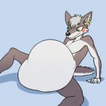  1:1 2020 2d_animation 4_fingers abdominal_bulge after_vore alaskan_malamute ambiguous_gender ambiguous_prey animated anthro anthro_pred anthro_prey arm_support athletic athletic_anthro athletic_male belly big_belly biped black_nose canid canine canis cheek_tuft claws countershade_torso countershading digital_drawing_(artwork) digital_media_(artwork) domestic_dog duo ear_piercing eyebrows faceless_ambiguous faceless_character facial_markings facial_tuft fingers fluffy fluffy_tail frame_by_frame front_view fur fur_markings fur_tuft green_eyes grey_background grey_body grey_countershading grey_eyebrows grey_fur grey_hair hair half-closed_eyes head_markings head_tuft inner_ear_fluff licking licking_lips licking_own_lips looking_down loop lunlunfox lying male male_focus male_pred mammal markings mostly_nude multicolored_body multicolored_fur multicolored_tail narrowed_eyes nordic_sled_dog nude on_back on_ground oral_vore pecs piercing same_size_vore self_lick short_playtime side_view simple_background sitting small_tail soft_vore solo solo_focus spitz spread_legs spreading struggling three-quarter_view tongue tongue_out tuft unseen_character unwilling_vore vore white_body white_claws white_countershading white_fur zlarr_(alaska_zz) 