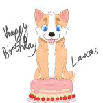  1:1 absurd_res alpha_channel birthday cake canid canine canis cryomania domestic_dog feral food fruit gift happy herding_dog hi_res icing laxes light male mammal pastoral_dog plant plate solo strawberry text welsh_corgi 