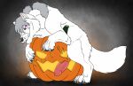  animal_genitalia animal_penis bayard_zylos black_sclera canid canine canine_genitalia canine_penis erection fangs feral fur genitals grey_hair grey_nose grey_pawpads hair hi_res killthe_demon long_hair looking_at_viewer male mammal pawpads penetrating_pumpkin penis pink_eyes pupils red_penis side_view simple_background solo tail teeth white_body white_fur white_pupils white_tail 