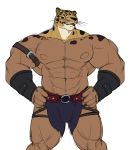  animal_head biceps clothing felid feline flammars for_a_head guin guin_saga humanoid hybrid loincloth male mammal muscular muscular_humanoid muscular_male nipples pecs solo yongdasom 