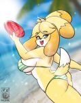  animal_crossing anthro beach big_breasts big_butt bikini blush breasts butt canid canine canis clothed clothing domestic_dog evergreen_tree female frisbee fur hair halotroll hi_res holding_object isabelle_(animal_crossing) looking_back mammal nintendo open_mouth outside palm_tree seaside shih_tzu solo swimwear teeth thick_thighs tongue toy_dog tree video_games wide_hips yellow_body yellow_fur 