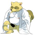  2020 anthro balls belly brown_body brown_fur canid canine censored clothing erection fur genitals green_eyes hi_res hysk kemono male mammal moobs nipples overweight overweight_anthro overweight_male penis raccoon_dog robe sengoku_puzzle simple_background solo tanuki tokugawa_ieyasu video_games white_background 