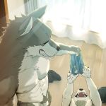  1:1 abs anthro canid canine canis clothes_on_floor clothing domestic_dog duo fangs genitals grin kuro_(nomifuki) lying_on_ground male male/male mammal muscular muscular_male nomifuki nude pecs penis sharp_teeth shiro_(nomifuki) smile teeth underwear 