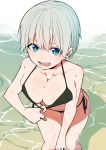  1girl :d absurdres bikini bikini_tug black_bikini blue_eyes blush breasts cleavage commentary_request droplets feet_out_of_frame from_above futatugikota grey_hair highres large_breasts leaning_forward looking_at_viewer open_mouth outdoors shadow short_hair side-tie_bikini smile standing swimsuit uzaki-chan_wa_asobitai! uzaki_hana water wet 