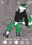  anthro blush bottomwear bulge canid canine canis clothed clothing digital_drawing_(artwork) digital_media_(artwork) english_text footwear fur green_body green_fur hair hoodie legwear looking_at_viewer male mammal meme shaded shoes simple_background sitting sneakers solo text topwear underwear white_body white_fur wolf zachary_aethern zachsroom 