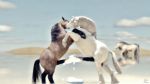  16:9 2020 3d_(artwork) animal_genitalia animal_penis balls beach digital_media_(artwork) draft_(disambiguation) duo equid equine equine_penis felid feral feral_on_feral freasian frottage genitals hi_res horse kissing male male/male mammal penis seaside sex trioami260 widescreen 